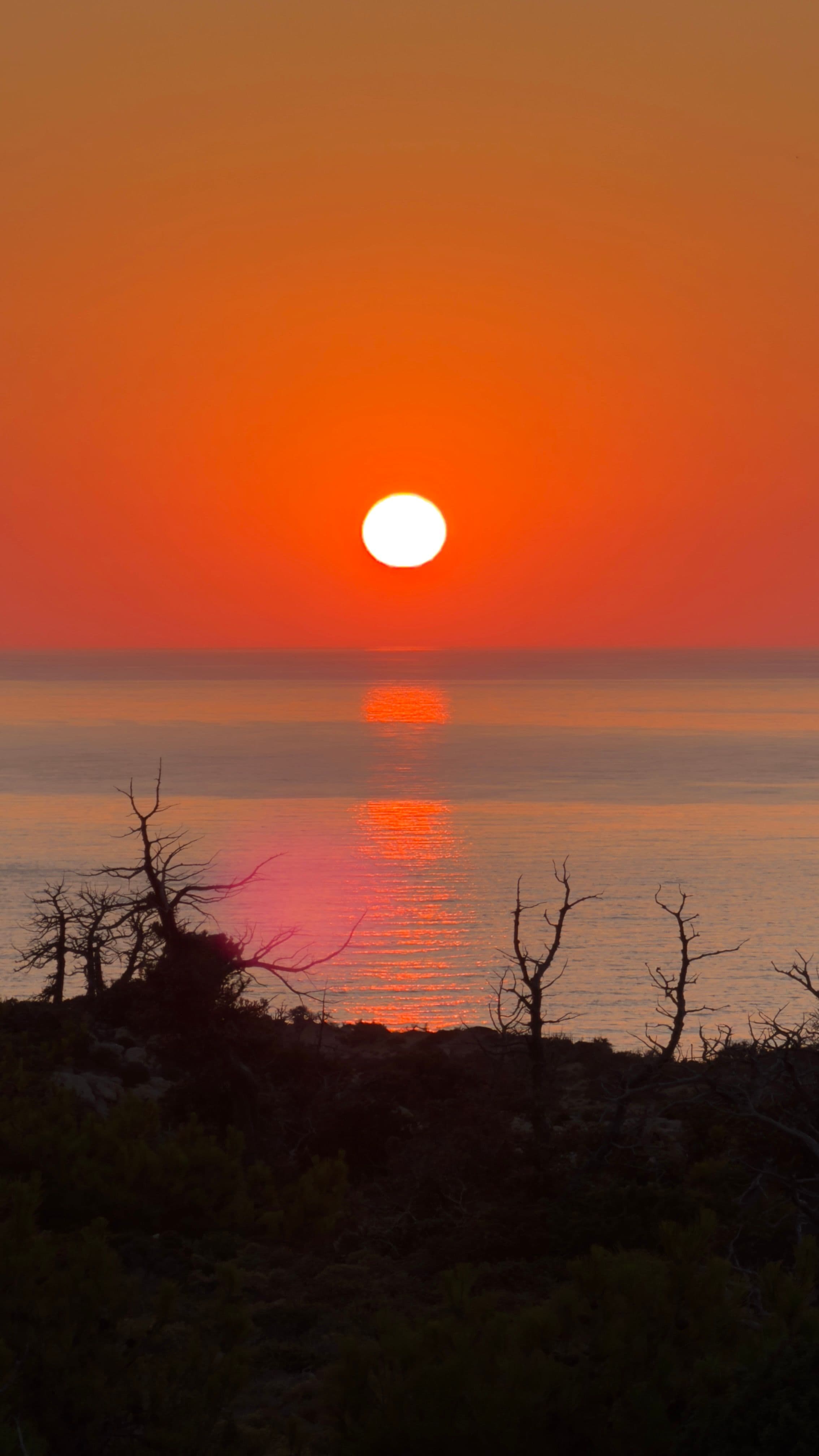 αυθόρμητη, κοινωνία, κατανάλωση, καχυποψία, απόδοση, πείσμα, ευαλωτότητα